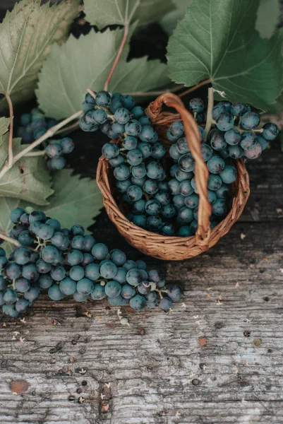 Red grapes